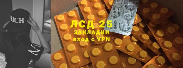 стаф Покачи