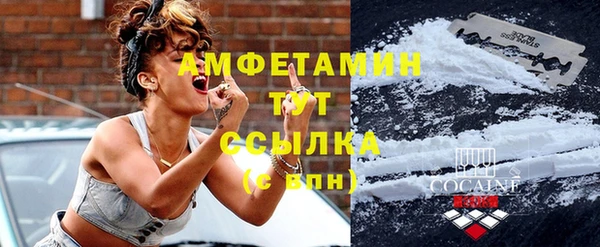 стаф Покачи