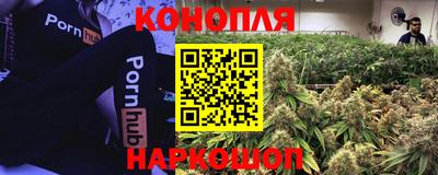 гидропоника Абинск