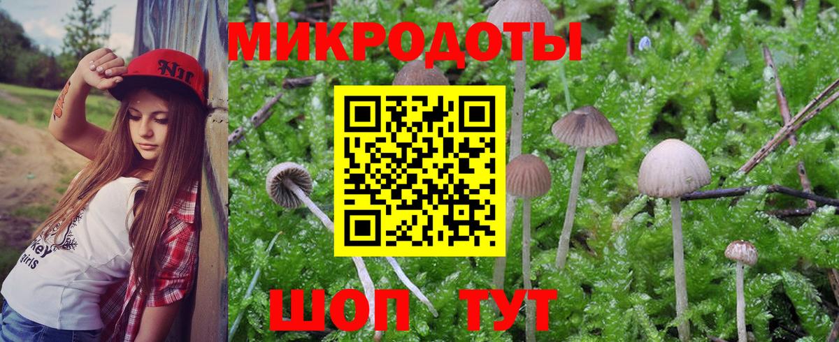 Алексеевка  Галлюциногенные грибы ЛСД  Вход с VPN 
