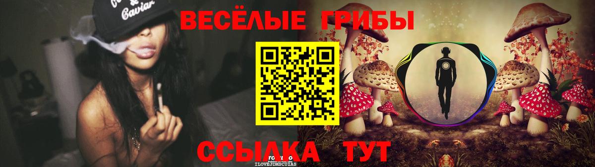 Псилоцибиновые грибы Cubensis  Алексеевка 