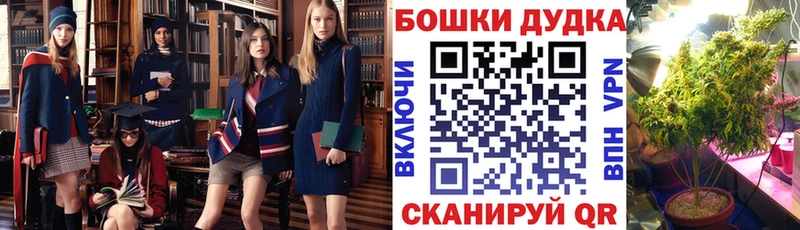 OMG ссылки  как найти наркотики  Алексеевка  Канабис White Widow 