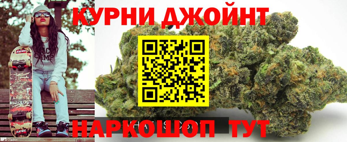 Конопля планчик Алексеевка